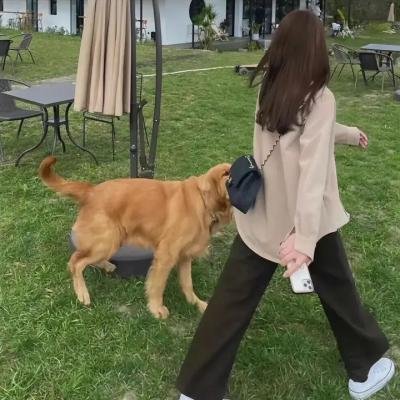 女神之境：换魂游戏