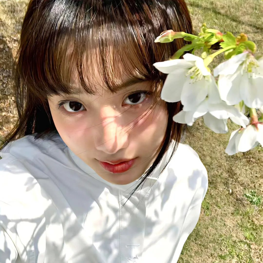 碧云天